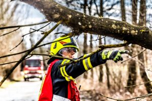 Arborist Columbus ohio